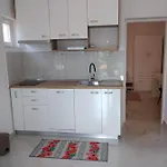 With Terrace And Garden Apartment *
