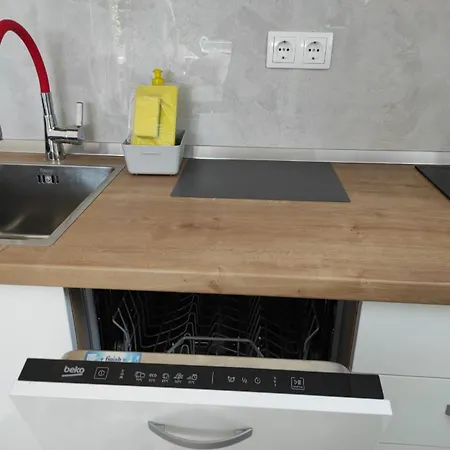 With Terrace And Garden Appartamento