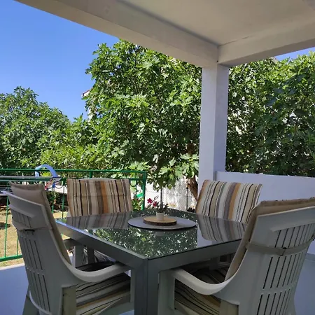 With Terrace And Garden *