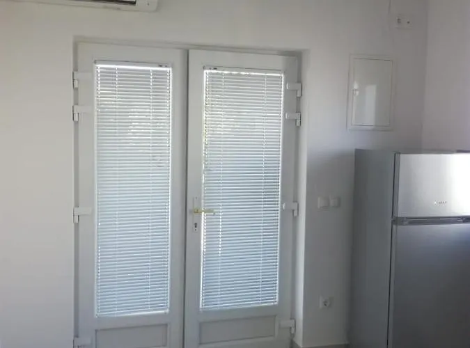 With Terrace And Garden