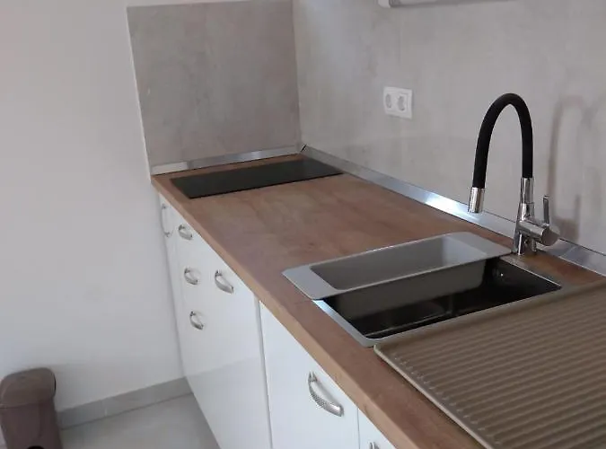 With Terrace And Garden