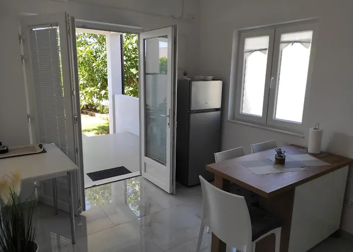 With Terrace And Garden